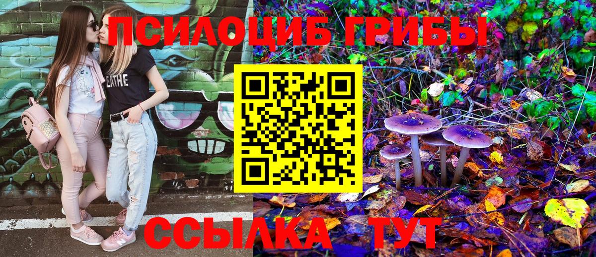 Псилоцибиновые грибы прущие грибы  цены   Псилоцибиновые грибы мухоморы  Славгород  Вход с VPN 