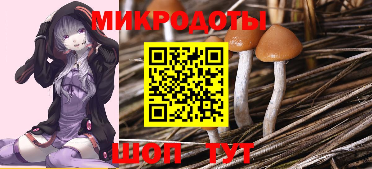Псилоцибиновые грибы мухоморы Славгород